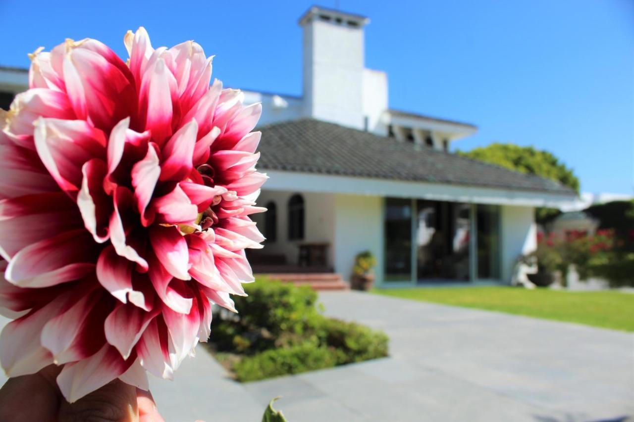 Santo Refugio Heritage Hotel San Pedro Cholula Eksteriør bilde